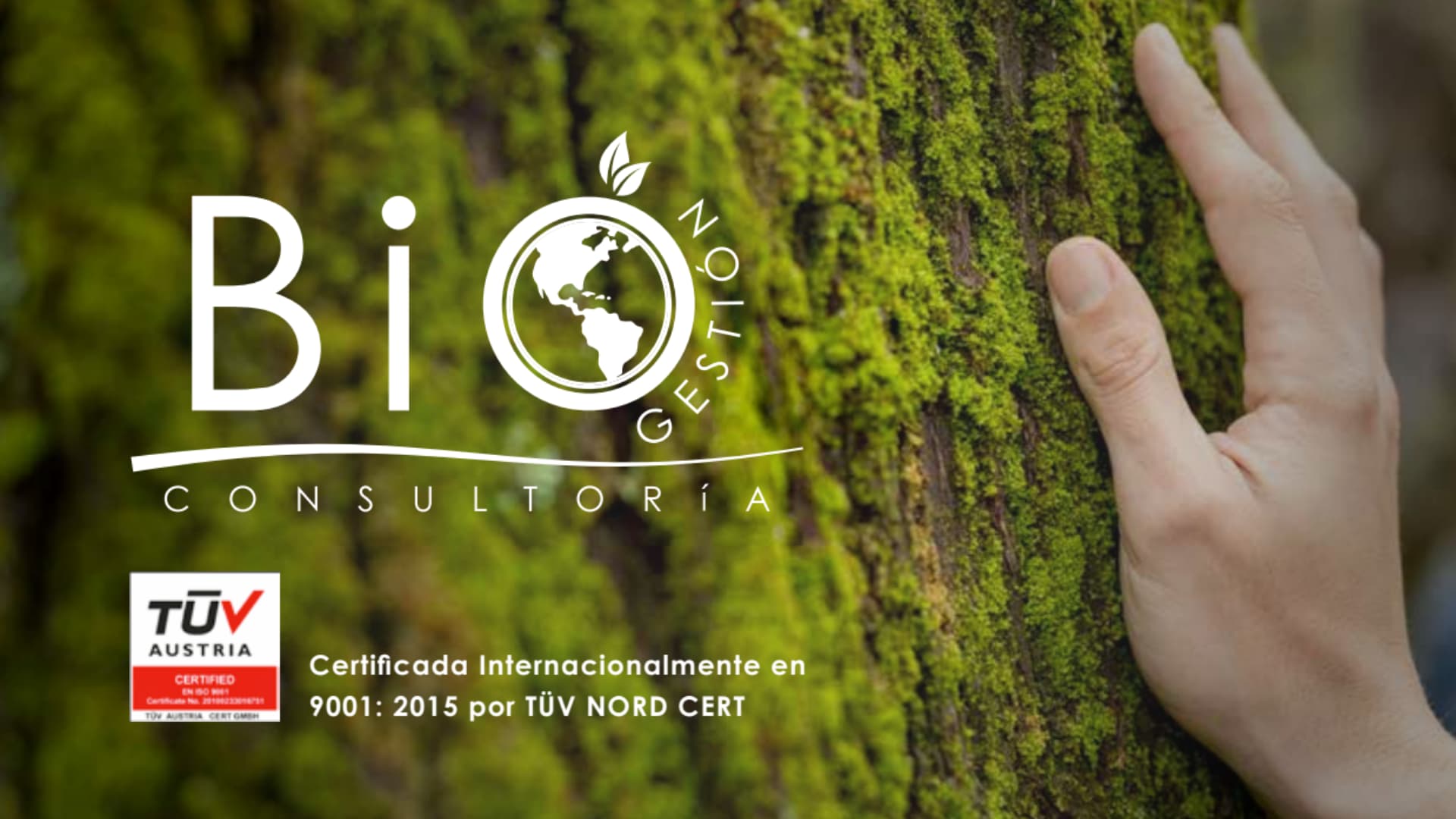 Catálogo Empresarial